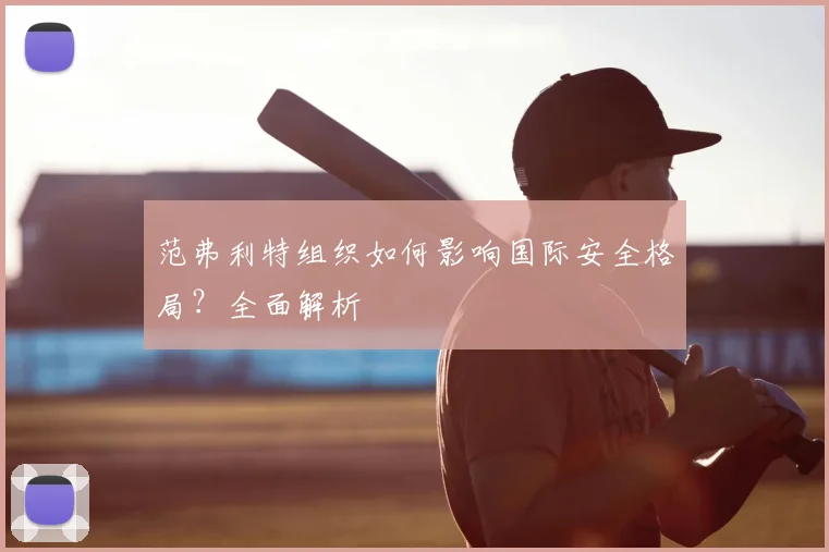 范弗利特组织如何影响国际安全格局?全面解析