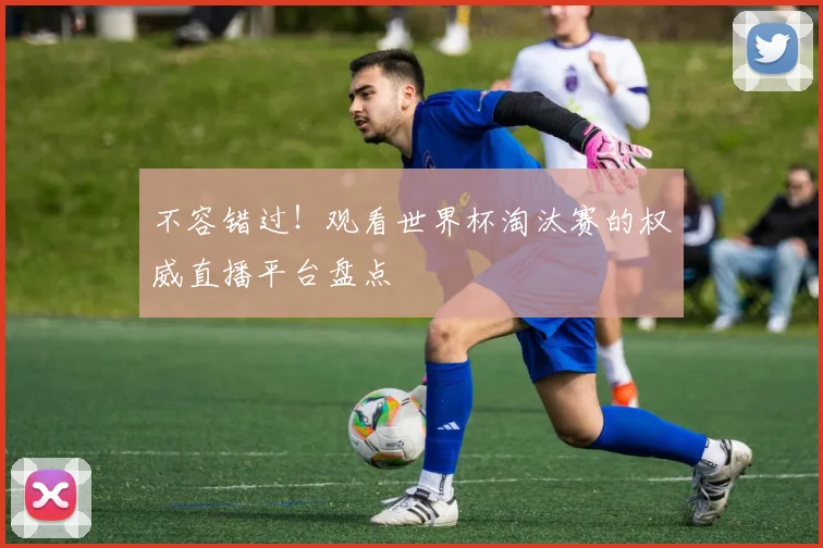 不容错过！观看世界杯淘汰赛的权威直播平台盘点