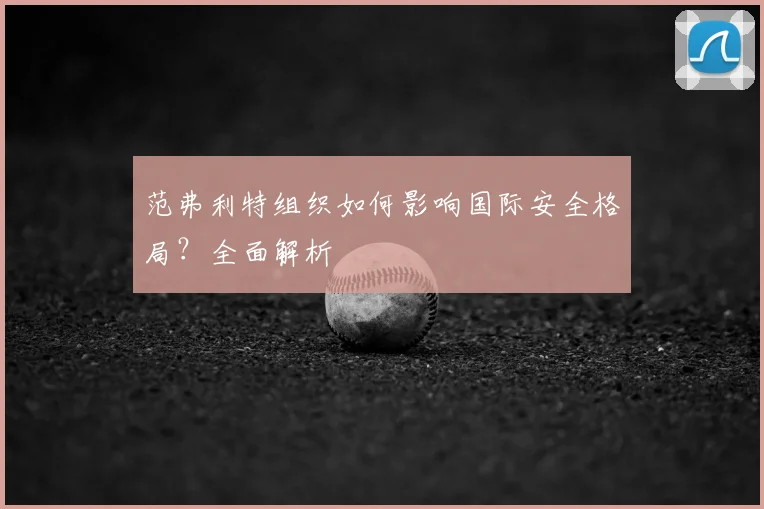 范弗利特组织如何影响国际安全格局?全面解析