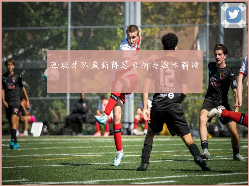 西班牙队最新阵容分析与战术解读